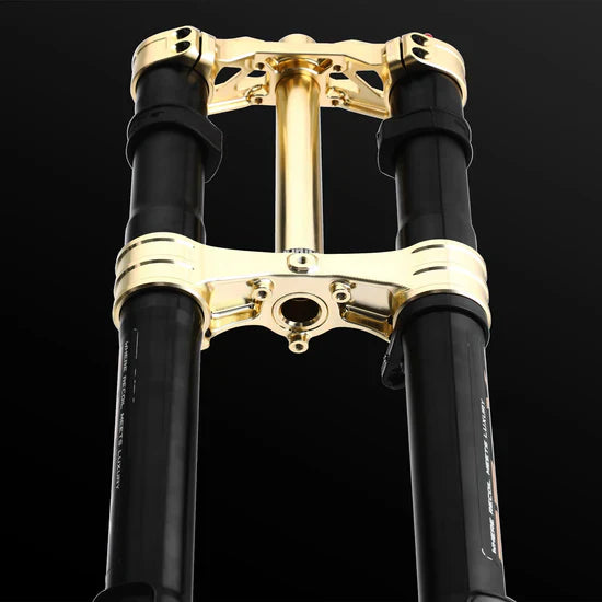 RFloXa Hawk31 Max (Gold) For Talaria/Surron/Segway/Eride/Rawrr/79bike/ventus & more