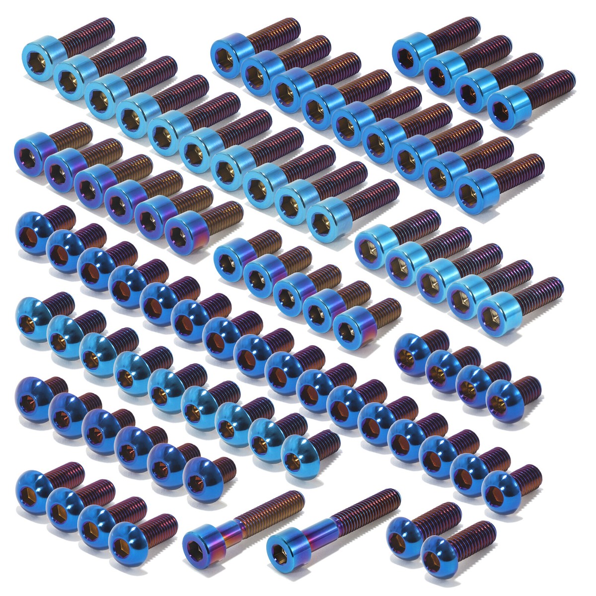 Ultra Bee Titanium Bolt Kit